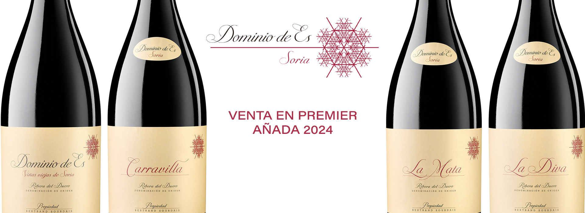 Premier Dominio de Es 2024