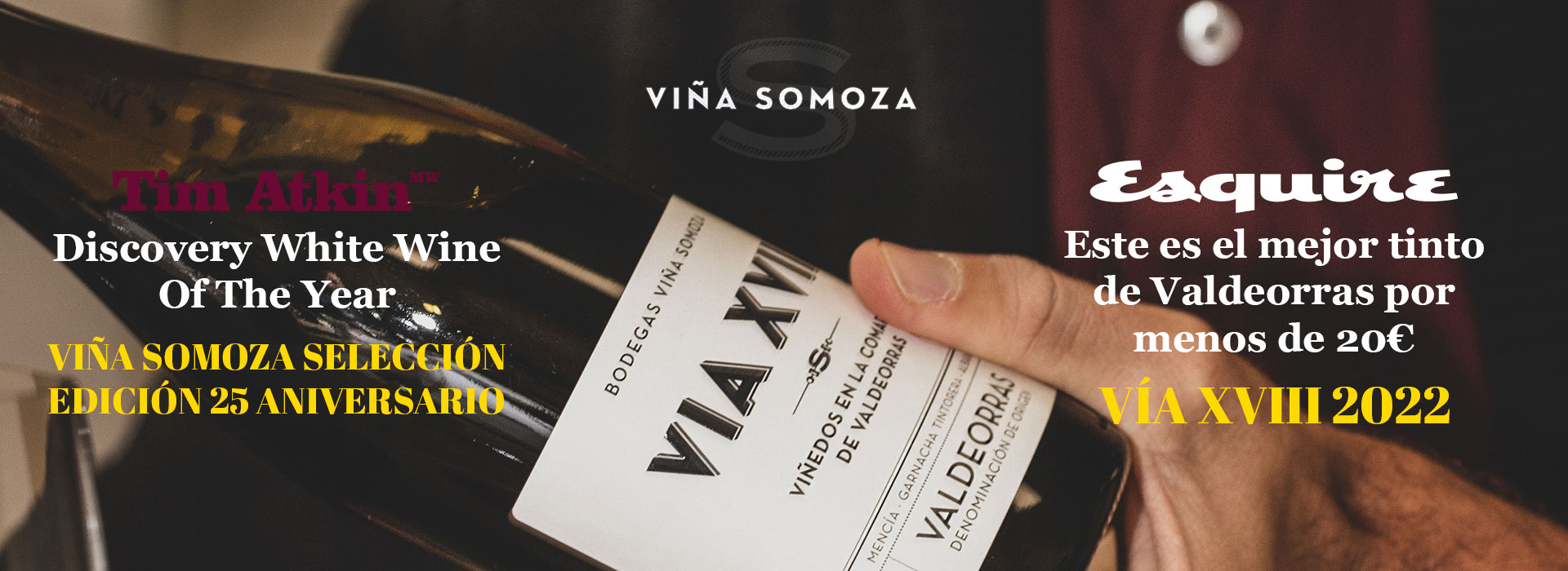 Viña Somoza - Valdeorras